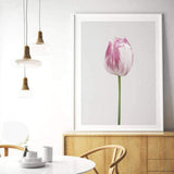 wymhzp 2 Piezas Imprime Flores Cartel Rosa y Gris Pastel Pared Arte Moderno botánico Lienzo Pintura para Dormitorio decoración del hogar 40x60 cm sin Marco